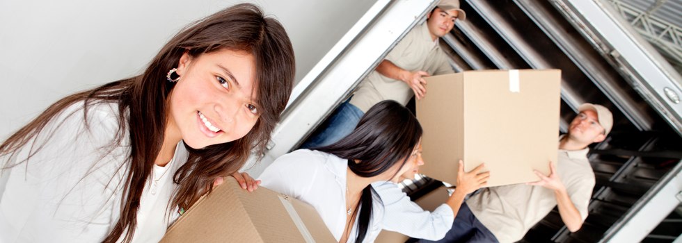 Professional Removalists NSW Paling Yards